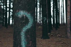 Question mark on tree trunk