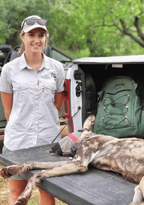 Alumni stories: Meet The Wildlife Ranger