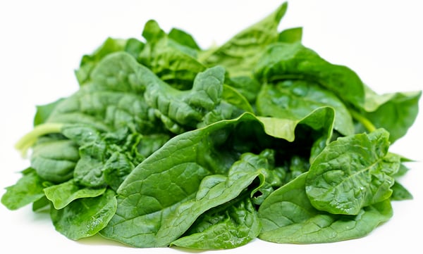 Savoy Spinach