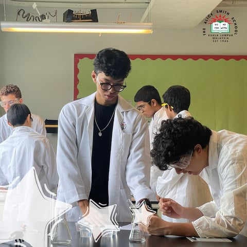 Guiding Your Explorer: Navigate the A-Level Jungle Together!