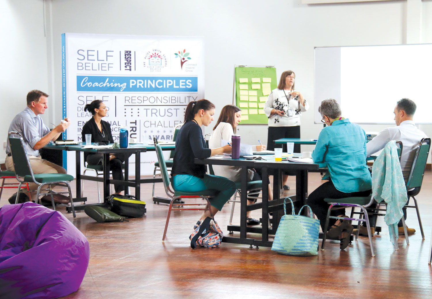 Professional Development Quality Mark | Alice Smith School